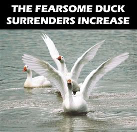 Duck-Surrender.jpg