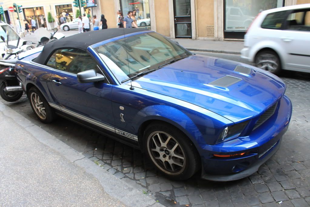 ShelbyGT5001.jpg