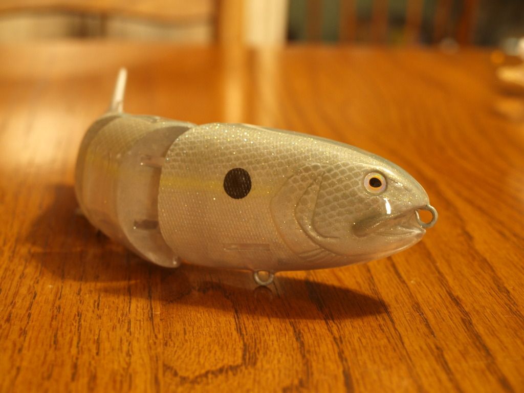 Sexy Blueback Semi-Ghost, Sexy Blueback Semi Ghost BBZ Swimbait