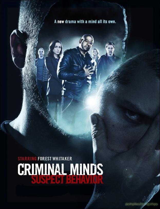 Criminal Minds, Suspect Behavior (SAISON 01-FRENCH) [01 et 02/10] [Fs-WU] + HD