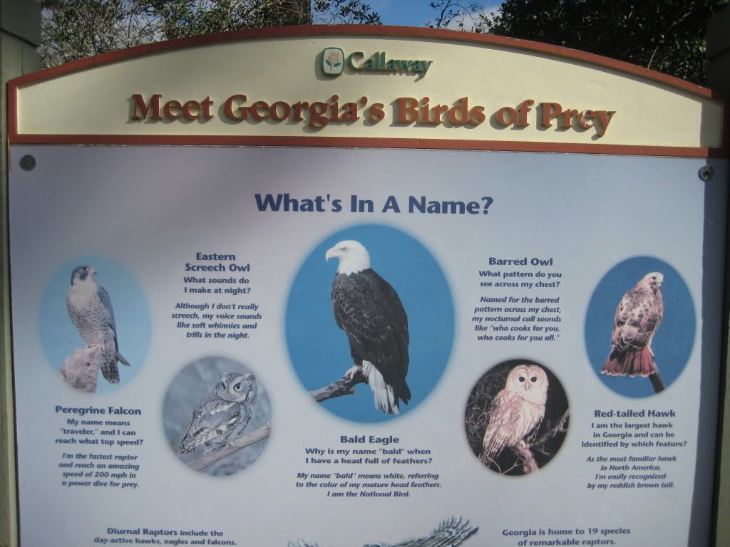 Callaway Gardens Day 2