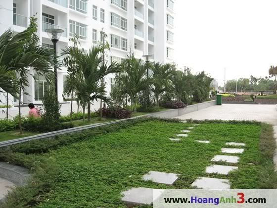 hoang anh gia lai 3, hoanganh3.com, can ho New Saigon hoang anh gia lai 3, hoanganh3.com, can ho New Saigon