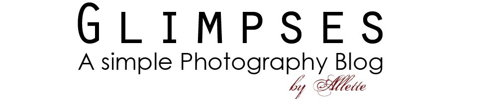 Glimpses-A Simple Photography Blog by Allette