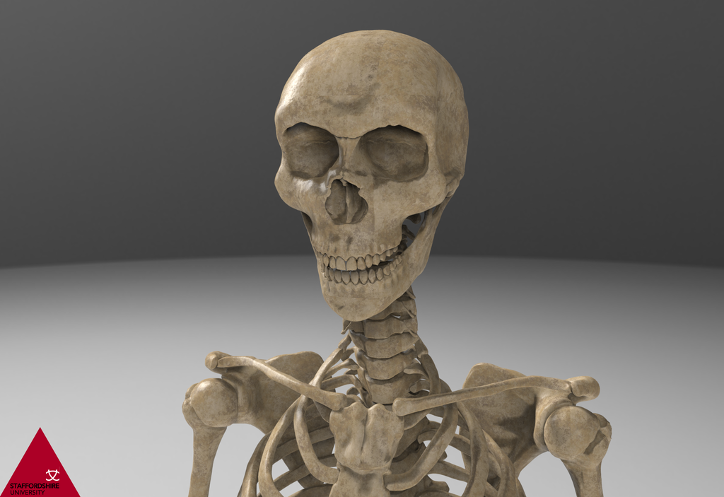 Skeleton.65_zps1tjdnrkw.png