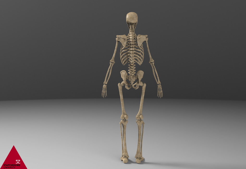 Skeleton.72_zpsbiolbuqj.png