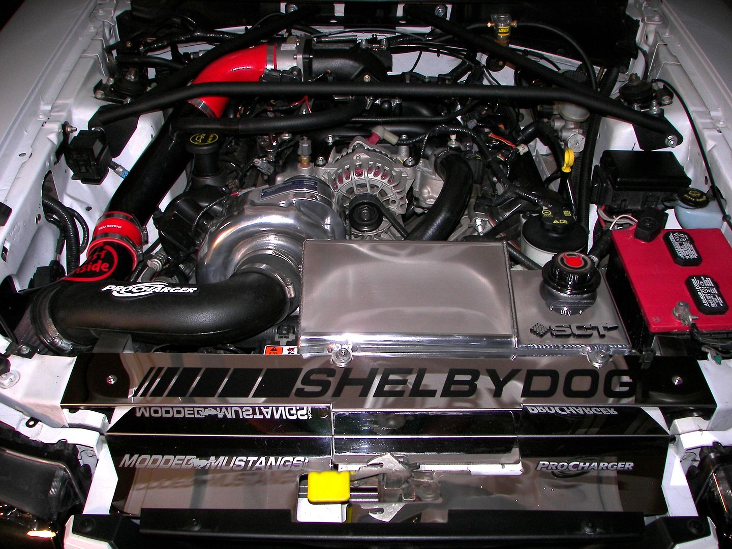 Engine Bay Ideas!! Modded Mustang Forums