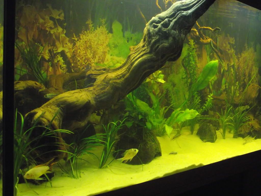 DSCF0295.jpg