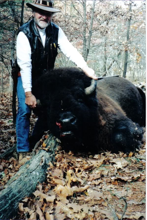 my first bison bull photo 12-19-2003050205PM.jpg