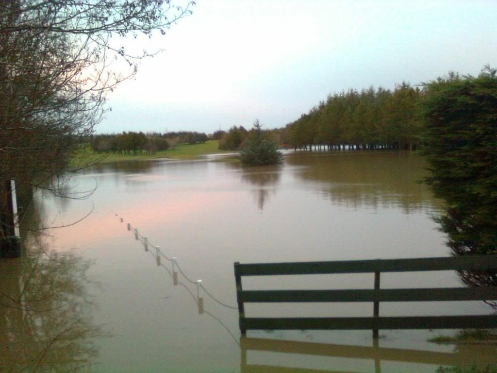 Image0177_zpse34e3b6e.jpg