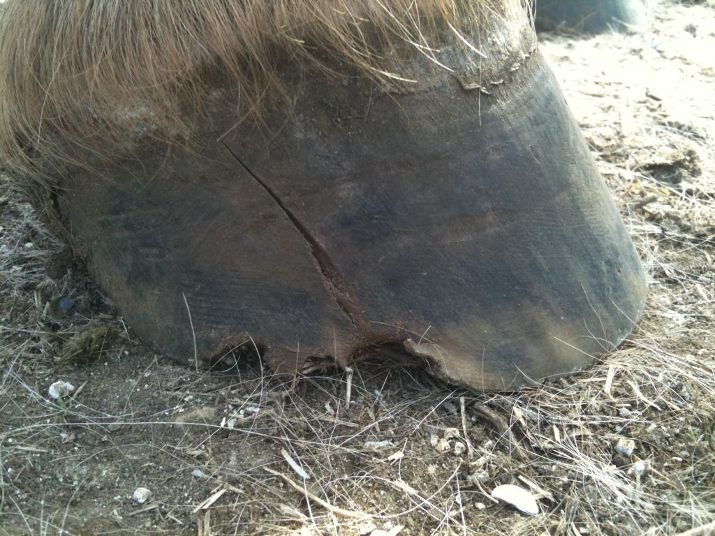 Pictures Dealing with quarter cracks going up into band