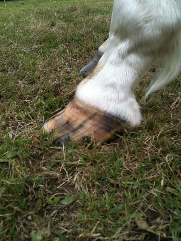 Pictures Dealing with quarter cracks going up into band