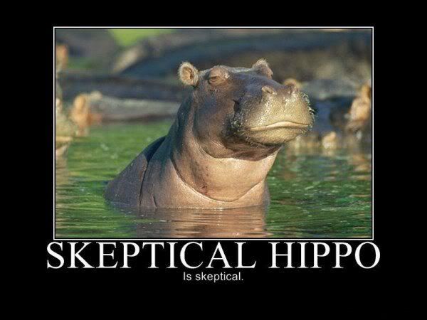 skeptical_hippo.jpg