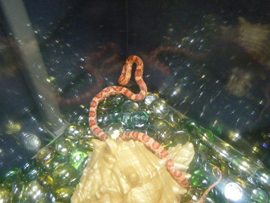 DSCF7545.jpg