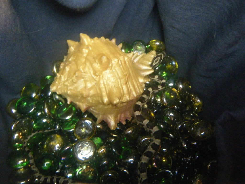 DSCF7568.jpg