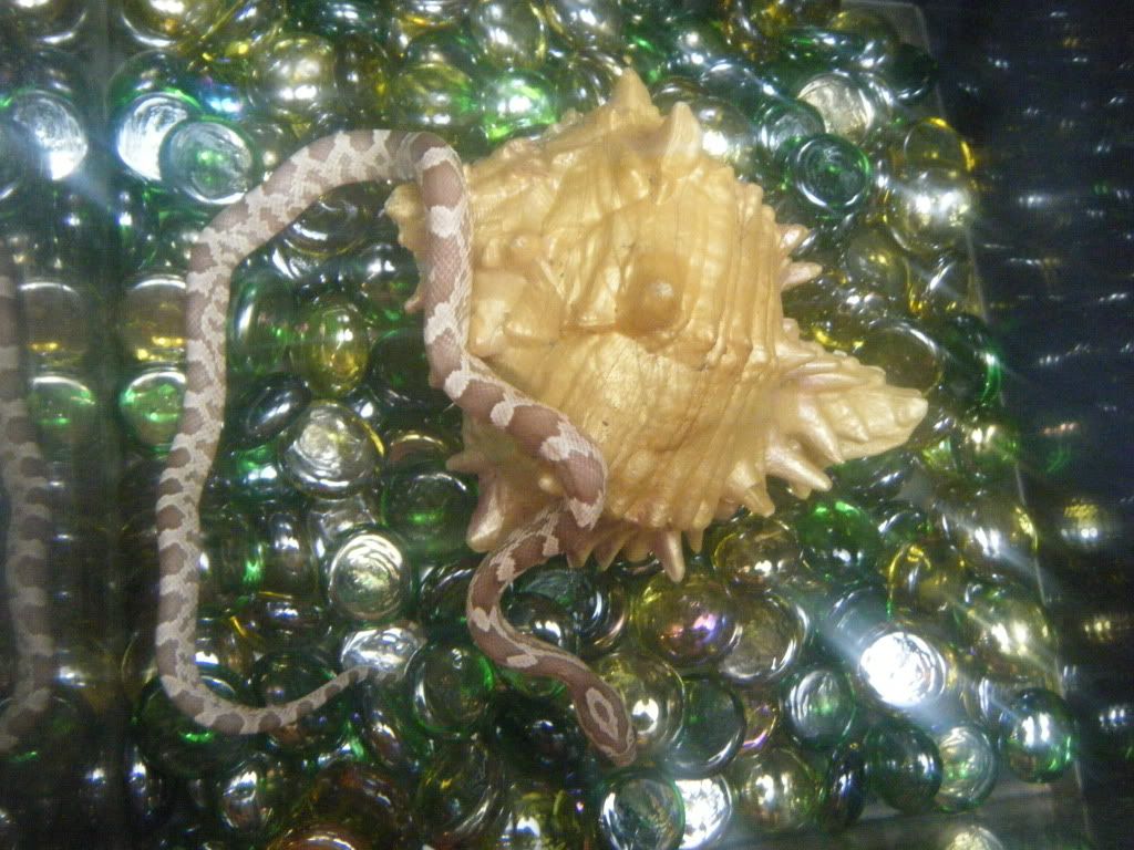 DSCF7552.jpg