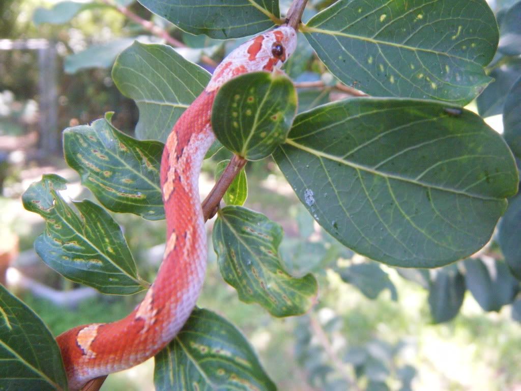 DSCF7054.jpg