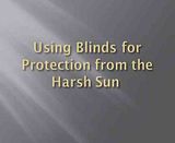Using Blinds for Protection from the Harsh Sun video UsingBlindsforProtectionfromtheHarshSun.mp4