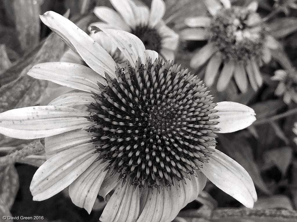 564342BF-C56D-465A-A945-F82795D4BB1B_zpsmno4tkmv.jpeg
