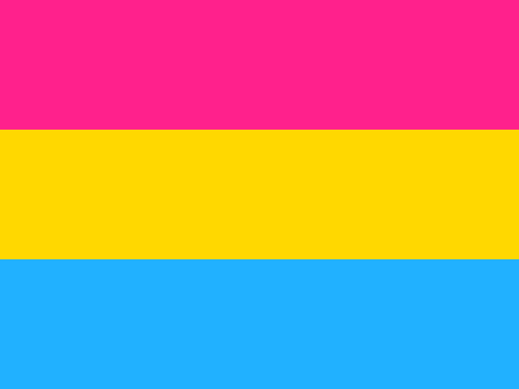 The pansexual flag!