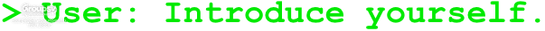 User Image