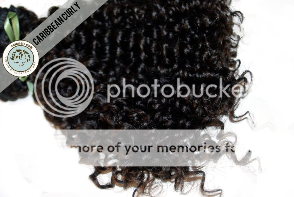 14 Kinky Curly Indian Remy Human Hair Extensions Curly (tight curl 